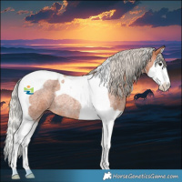 Horse Color:Silver Bay Roan Splash Tobiano Rabicano 