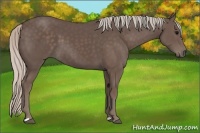 Horse Color:Silver Black 