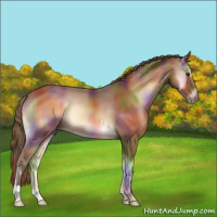 Horse Color:Nacre Red Onyx 