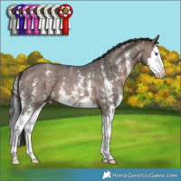 Horse Color:Brown Dun Sabino Splash 