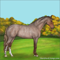 Horse Color:Liver Red Roan Rabicano 