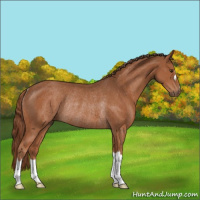 Horse Color:Chestnut Rabicano 