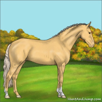 Horse Color:Palomino Varnish 