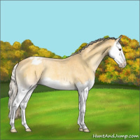 Horse Color:Palomino Roan Onyx Splash Varnish 