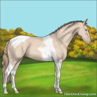 Horse Color:Perlino Tobiano