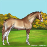 Horse Color:Red Onyx Sabino 