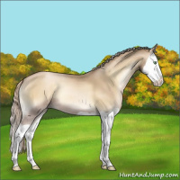 Horse Color:Chocolate Palomino Pearl Onyx Splash 