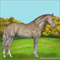 Horse Color:Palomino Ice Onyx 