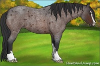 Horse Color:Brown Roan Mushroom Sabino