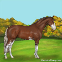 Horse Color:Silver Buckskin Sabino 
