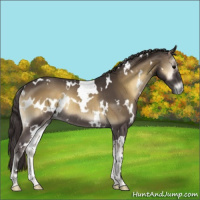 Horse Color:White Spotted Smoky Blue Onyx Rabicano 