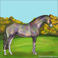 Horse Color:Nacre Blue Onyx Rabicano 