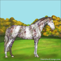 Horse Color:Nacre White Spotted Silver Brown 