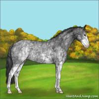 Horse Color:White Spotted Black Ice Sabino 