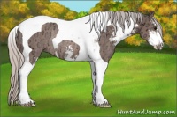 Horse Color:Silver Brown Ice Sabino Tobiano Rabicano 