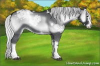 Horse Color:White Spotted Silver Blue Onyx Chinchilla Ice Rabicano 