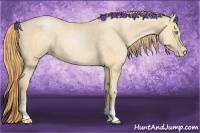 Horse Color:Buckskin Roan Pearl  and Buckskin Pearl 