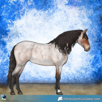 Horse Color:Bay Roan 