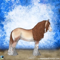 Horse Color:Gold Champagne Onyx Splash
