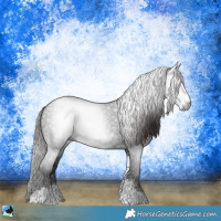 Horse Color:Gray Liver Chestnut Sabino 