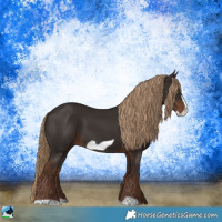 Horse Color:Liver Chestnut Frame 