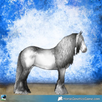 Horse Color:Gray Brown Sabino Frame