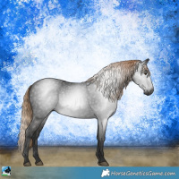 Horse Color:Gray Liver Chestnut Sabino Rabicano 