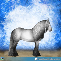 Horse Color:Gray Brown Sabino