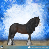 Horse Color:Brown Sabino Rabicano