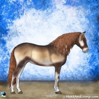 Horse Color:Liver Red Onyx