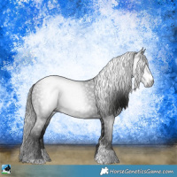 Horse Color:Gray Black Sabino