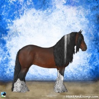 Horse Color:Bay Tobiano Rabicano 