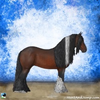 Horse Color:Brown Tobiano Rabicano 