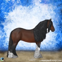 Horse Color:Brown Tobiano Rabicano