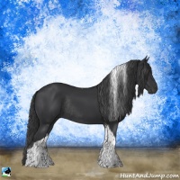 Horse Color:Black Tobiano Rabicano