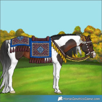 Horse Color:Brown Tobiano 