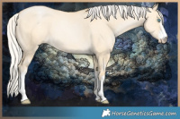 Horse Color:White Spotted Silver Buckskin Pearl Dun 