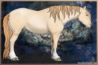 Horse Color:Buckskin Pearl Sabino Rabicano