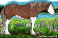 Horse Color:Liver Chestnut Splash 