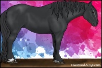 Horse Color:Black Sabino