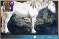 Horse Color:White Spotted Liver Chestnut Sabino Splash Rabicano