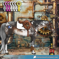 Horse Color:White Spotted Brown Tobiano