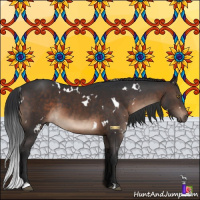 Horse Color:White Spotted Brown 