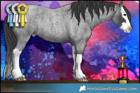 Horse Color:Blue Roan Splash Rabicano 