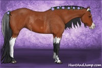 Horse Color:Bay Sabino Rabicano  and Bay Sabino Splash Rabicano 