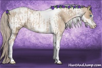 Horse Color:Chocolate Palomino Pearl Tobiano Frame  and Chocolate Palomino Roan Pearl Tobiano Frame 