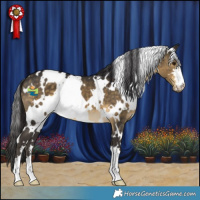Horse Color:White Spotted Buckskin 