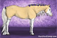 Horse Color:Palomino Roan Splash 