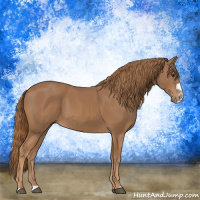 Horse Color:Chestnut Splash Frame