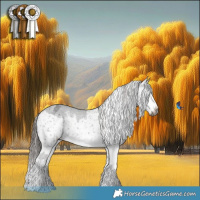 Horse Color:Gray White Spotted Liver Chestnut Sabino Splash Varnish  and Liver Chestnut Sabino Splash Snowflake Varnish 